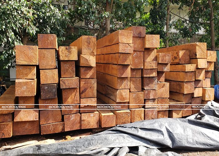 Gỗ tự nhiên 1.1