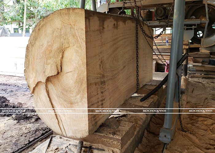 Gỗ tự nhiên 1.3